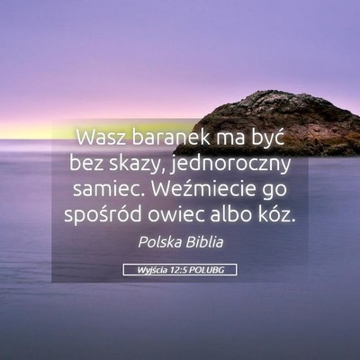 Picture 05 - Wyjścia 12:5 POLUBG - Wasz baranek ma być bez skazy, jednoroczny - Bible Verse Picture