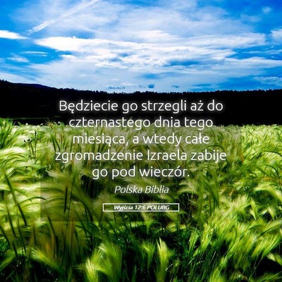 Picture 05 - Wyjścia 12:6 POLUBG - Będziecie go strzegli aż do czternastego dnia - Bible Verse Picture
