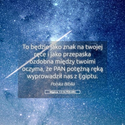 Picture 05 - Wyjścia 13:16 POLUBG - To będzie jako znak na twojej ręce i jako - Bible Verse Picture
