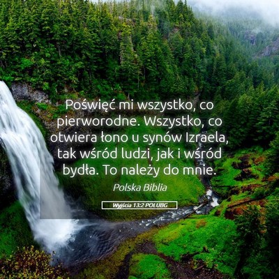 Picture 05 - Wyjścia 13:2 POLUBG - Poświęć mi wszystko, co pierworodne. Wszystko, - Bible Verse Picture