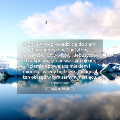 Picture 05 - Wyjścia 13:5 POLUBG - A gdy PAN wprowadzi cię do ziemi Kananejczyków, - Bible Verse Picture