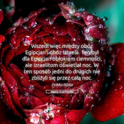 Picture 05 - Wyjścia 14:20 POLUBG - Wszedł więc między obóz Egipcjan i obóz - Bible Verse Picture