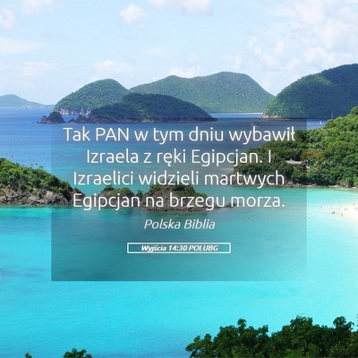 Picture 05 - Wyjścia 14:30 POLUBG - Tak PAN w tym dniu wybawił Izraela z ręki - Bible Verse Picture