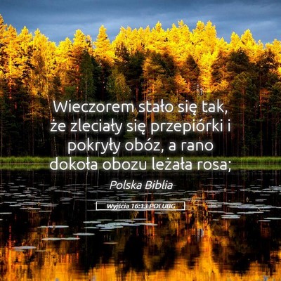 Picture 05 - Wyjścia 16:13 POLUBG - Wieczorem stało się tak, że zleciały się - Bible Verse Picture