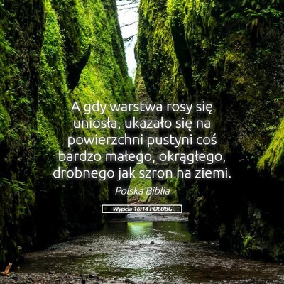 Picture 05 - Wyjścia 16:14 POLUBG - A gdy warstwa rosy się uniosła, ukazało się - Bible Verse Picture