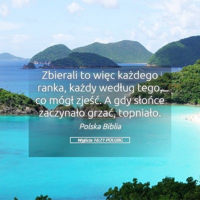 Picture 05 - Wyjścia 16:21 POLUBG - Zbierali to więc każdego ranka, każdy według - Bible Verse Picture