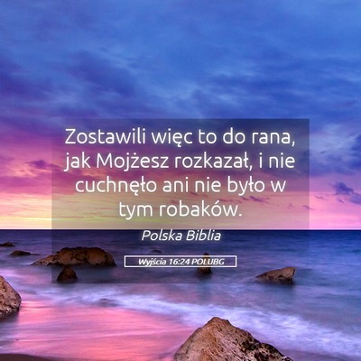 Picture 05 - Wyjścia 16:24 POLUBG - Zostawili więc to do rana, jak Mojżesz - Bible Verse Picture