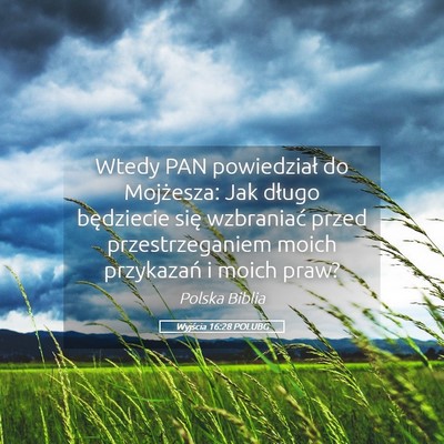 Picture 05 - Wyjścia 16:28 POLUBG - Wtedy PAN powiedział do Mojżesza: Jak długo - Bible Verse Picture