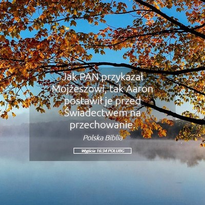 Picture 05 - Wyjścia 16:34 POLUBG - Jak PAN przykazał Mojżeszowi, tak Aaron - Bible Verse Picture