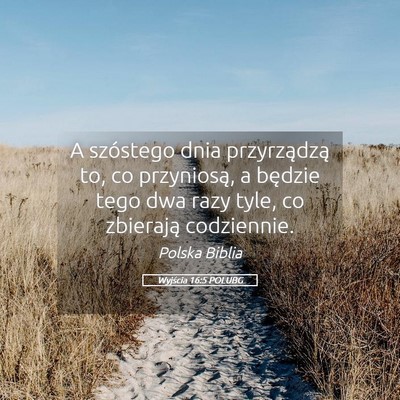 Picture 05 - Wyjścia 16:5 POLUBG - A szóstego dnia przyrządzą to, co przyniosą, - Bible Verse Picture