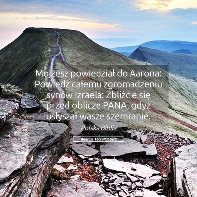 Picture 05 - Wyjścia 16:9 POLUBG - Mojżesz powiedział do Aarona: Powiedz całemu - Bible Verse Picture