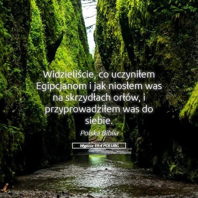 Picture 05 - Wyjścia 19:4 POLUBG - Widzieliście, co uczyniłem Egipcjanom i jak - Bible Verse Picture