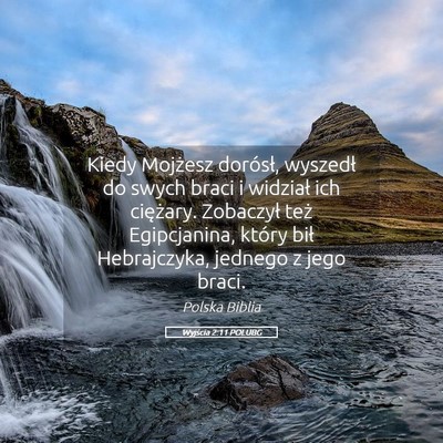 Picture 05 - Wyjścia 2:11 POLUBG - Kiedy Mojżesz dorósł, wyszedł do swych braci - Bible Verse Picture