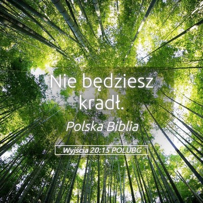Picture 05 - Wyjścia 20:15 POLUBG - Nie będziesz - Bible Verse Picture