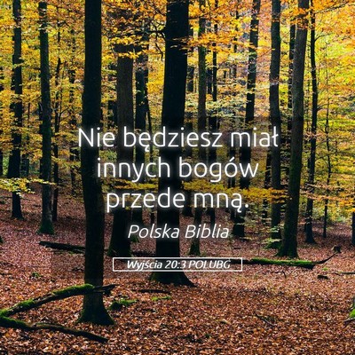 Picture 05 - Wyjścia 20:3 POLUBG - Nie będziesz miał innych bogów przede - Bible Verse Picture