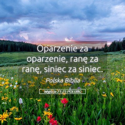 Picture 05 - Wyjścia 21:25 POLUBG - Oparzenie za oparzenie, ranę za ranę, siniec za - Bible Verse Picture