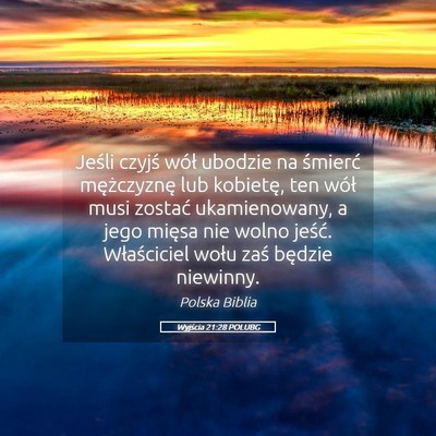 Picture 05 - Wyjścia 21:28 POLUBG - Jeśli czyjś wół ubodzie na śmierć - Bible Verse Picture