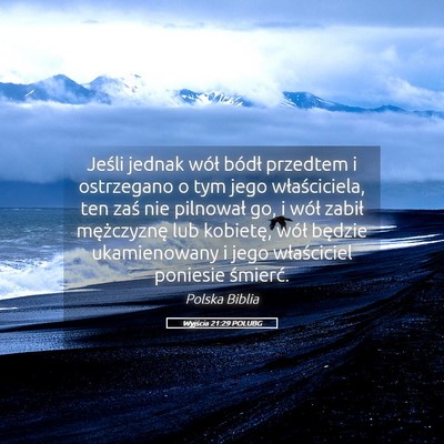 Picture 05 - Wyjścia 21:29 POLUBG - Jeśli jednak wół bódł przedtem i ostrzegano - Bible Verse Picture