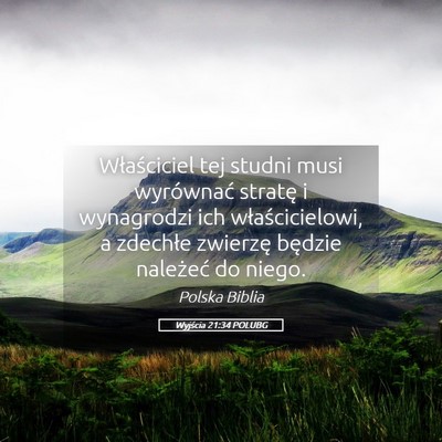 Picture 05 - Wyjścia 21:34 POLUBG - Właściciel tej studni musi wyrównać stratę i - Bible Verse Picture