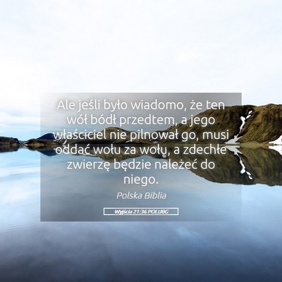 Picture 05 - Wyjścia 21:36 POLUBG - Ale jeśli było wiadomo, że ten wół bódł - Bible Verse Picture