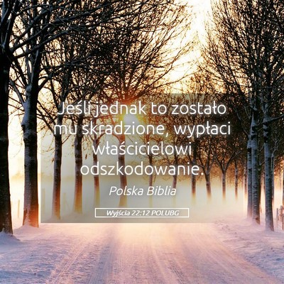 Picture 05 - Wyjścia 22:12 POLUBG - Jeśli jednak to zostało mu skradzione, wypłaci - Bible Verse Picture