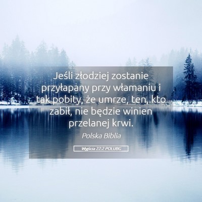 Picture 05 - Wyjścia 22:2 POLUBG - Jeśli złodziej zostanie przyłapany przy - Bible Verse Picture