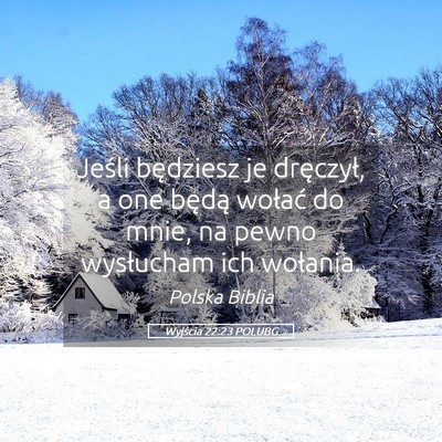 Picture 05 - Wyjścia 22:23 POLUBG - Jeśli będziesz je dręczył, a one będą - Bible Verse Picture