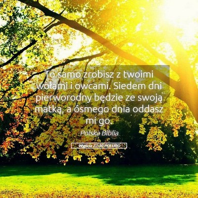 Picture 05 - Wyjścia 22:30 POLUBG - To samo zrobisz z twoimi wołami i owcami. Siedem - Bible Verse Picture
