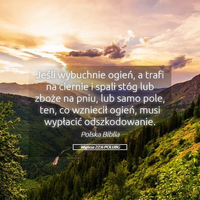 Picture 05 - Wyjścia 22:6 POLUBG - Jeśli wybuchnie ogień, a trafi na ciernie i - Bible Verse Picture