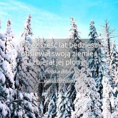 Picture 05 - Wyjścia 23:10 POLUBG - Przez sześć lat będziesz obsiewał swoją - Bible Verse Picture