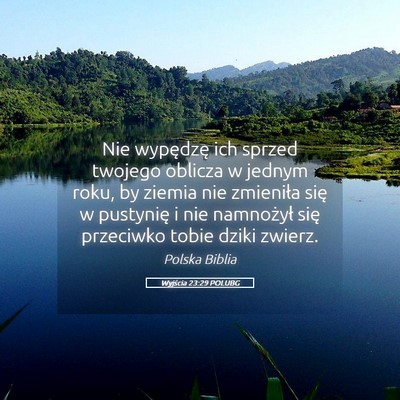 Picture 05 - Wyjścia 23:29 POLUBG - Nie wypędzę ich sprzed twojego oblicza w jednym - Bible Verse Picture