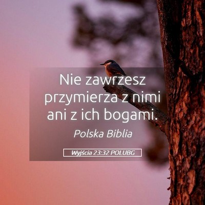 Picture 05 - Wyjścia 23:32 POLUBG - Nie zawrzesz przymierza z nimi ani z ich - Bible Verse Picture
