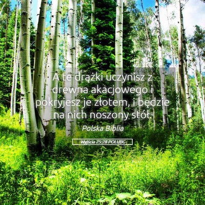 Picture 05 - Wyjścia 25:28 POLUBG - A te drążki uczynisz z drewna akacjowego i - Bible Verse Picture