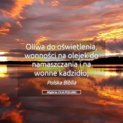 Picture 05 - Wyjścia 25:6 POLUBG - Oliwa do oświetlenia, wonności na olejek do - Bible Verse Picture