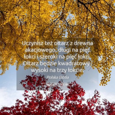 Picture 05 - Wyjścia 27:1 POLUBG - Uczynisz też ołtarz z drewna akacjowego, długi - Bible Verse Picture