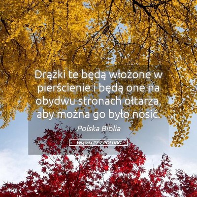 Picture 05 - Wyjścia 27:7 POLUBG - Drążki te będą włożone w pierścienie i - Bible Verse Picture