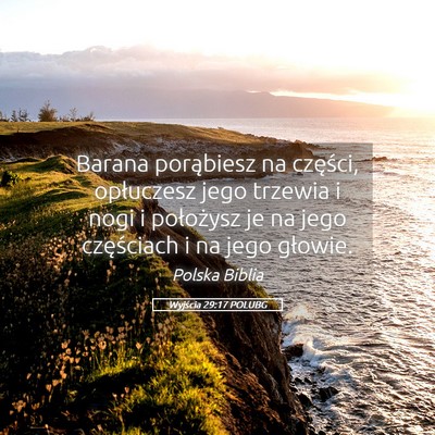 Picture 05 - Wyjścia 29:17 POLUBG - Barana porąbiesz na części, opłuczesz jego - Bible Verse Picture