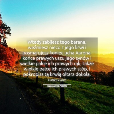 Picture 05 - Wyjścia 29:20 POLUBG - Wtedy zabijesz tego barana, weźmiesz nieco z - Bible Verse Picture