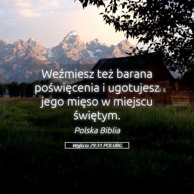 Picture 05 - Wyjścia 29:31 POLUBG - Weźmiesz też barana poświęcenia i ugotujesz - Bible Verse Picture