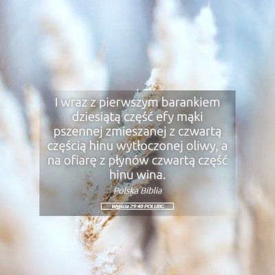 Picture 05 - Wyjścia 29:40 POLUBG - I wraz z pierwszym barankiem dziesiątą część - Bible Verse Picture