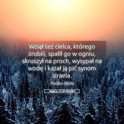 Picture 05 - Wyjścia 32:20 POLUBG - Wziął też cielca, którego zrobili, spalił go - Bible Verse Picture