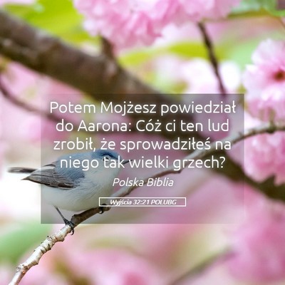 Picture 05 - Wyjścia 32:21 POLUBG - Potem Mojżesz powiedział do Aarona: Cóż ci - Bible Verse Picture