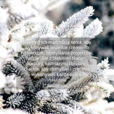 Picture 05 - Wyjścia 35:35 POLUBG - Napełnił ich mądrością serca, aby wykonywali - Bible Verse Picture