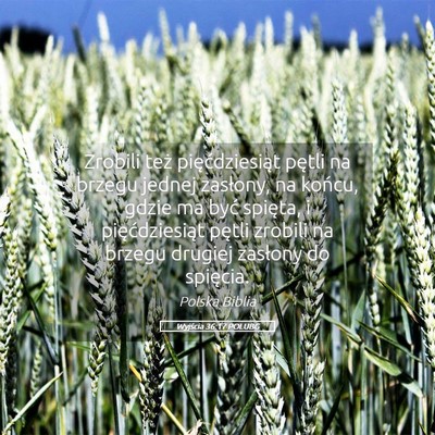 Picture 05 - Wyjścia 36:17 POLUBG - Zrobili też pięćdziesiąt pętli na brzegu - Bible Verse Picture