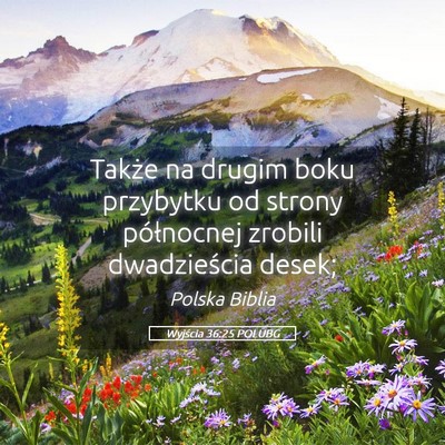 Picture 05 - Wyjścia 36:25 POLUBG - Także na drugim boku przybytku od strony - Bible Verse Picture