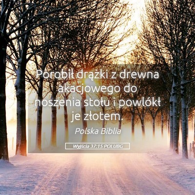 Picture 05 - Wyjścia 37:15 POLUBG - Porobił drążki z drewna akacjowego do noszenia - Bible Verse Picture