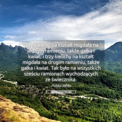 Picture 05 - Wyjścia 37:19 POLUBG - Trzy kielichy na kształt migdała na jednym - Bible Verse Picture
