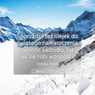 Picture 05 - Wyjścia 37:29 POLUBG - Sporządził też olejek do świętego - Bible Verse Picture