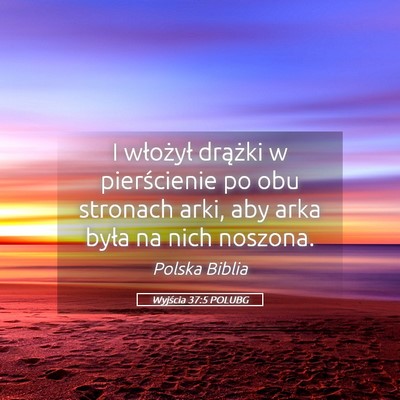 Picture 05 - Wyjścia 37:5 POLUBG - I włożył drążki w pierścienie po obu - Bible Verse Picture