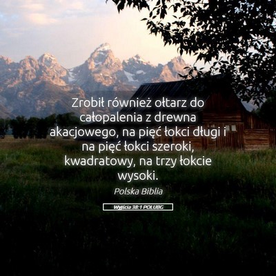 Picture 05 - Wyjścia 38:1 POLUBG - Zrobił również ołtarz do całopalenia z - Bible Verse Picture